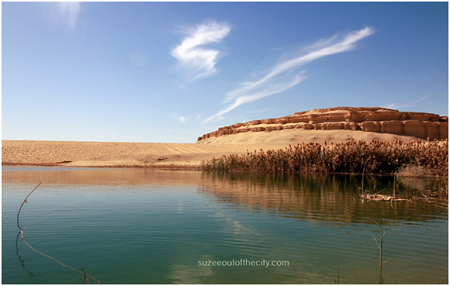 fayoum